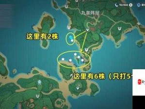 原神165个海灵芝高效采集路线全攻略