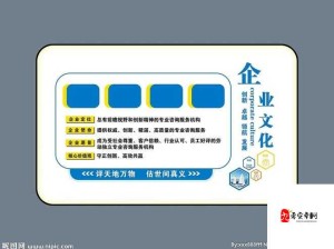 办公室文化：探讨工作环境中的行为、价值观和习惯