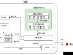 揭秘 VR 成品网站源码是视频的来源吗：探究背后真相