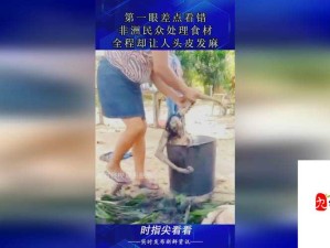 911 爆料网红领巾瓜报网址：深入探寻背后真相