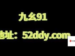 九幺91 旧版安装 8 月 6 号相关内容详细介绍及注意事项