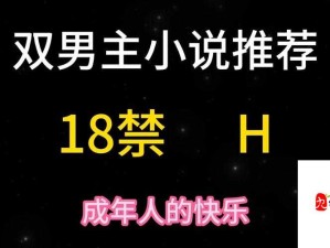 车速超高废文的双男主短篇小说：激情与禁忌的碰撞之旅