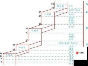 聚焦 xxxBBBB：探索其背后的故事与价值