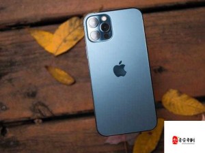 中国成熟 iphone 的性能评测：深度剖析其各项性能表现及优势