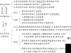 探索世界外资源，高效获取 管理及价值最大化策略