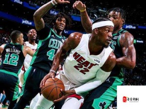 福建大菠萝导航湖南教育网 NBA：带你领略 NBA 赛事的精彩