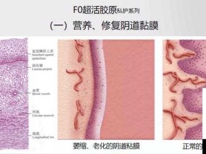 蜜桃皇后私密紧致：带来极致私密呵护体验之旅