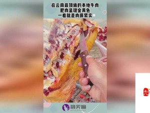 一区二区三区国产：不同区域国产产品的特色与差异对比