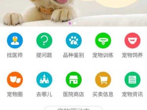 中国 zoom 人狗 app：独特视角探索人与宠物的奇妙互动