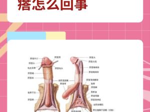 女性尿道口用手摸发现有一个疙瘩，这是怎么回事呢