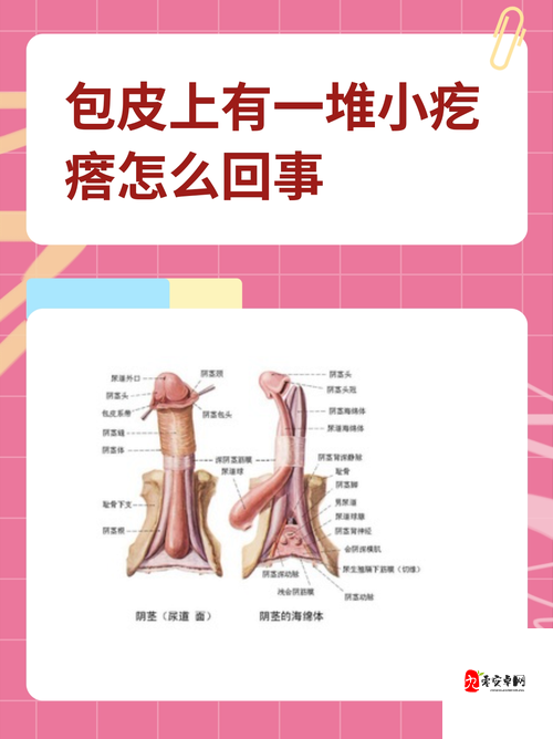 女性尿道口用手摸发现有一个疙瘩，这是怎么回事呢