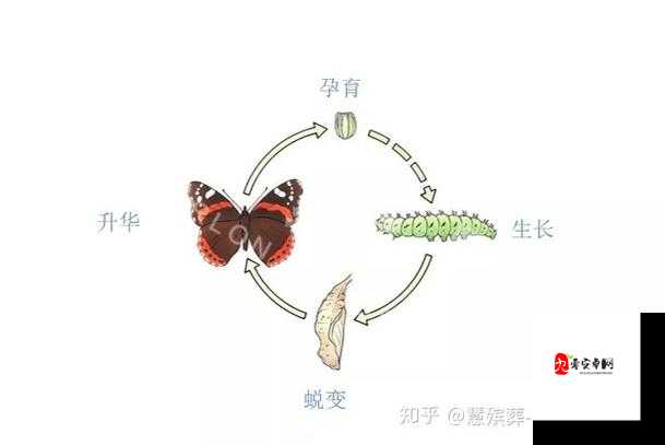 从开始的羞涩到现在-一路成长与蜕变的历程