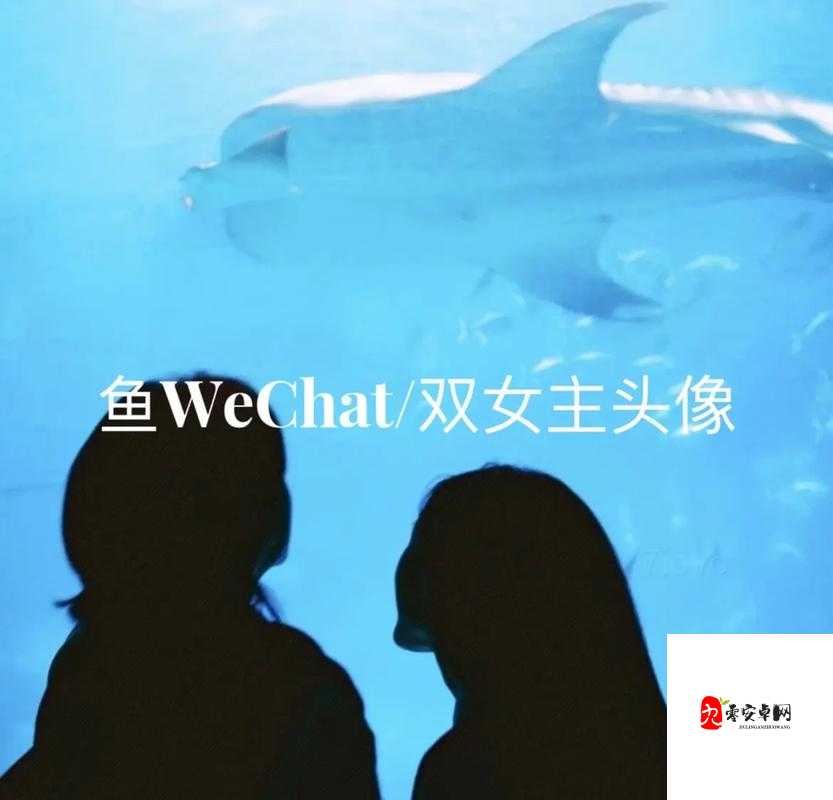 双女 cp 情侣头像真人：她们的爱情故事与美好瞬间