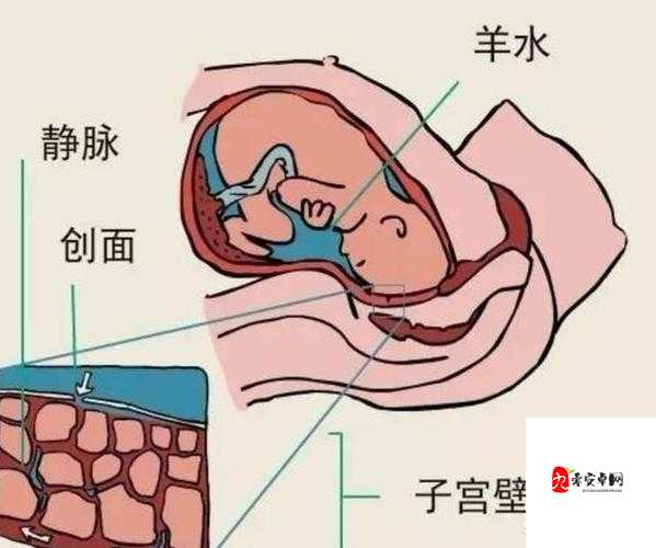 人进入羊水门最怕的三种东西：神秘恐惧之源