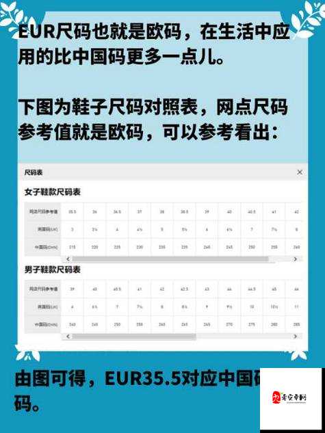 国产尺码与欧洲尺码的对比分析及差异探讨