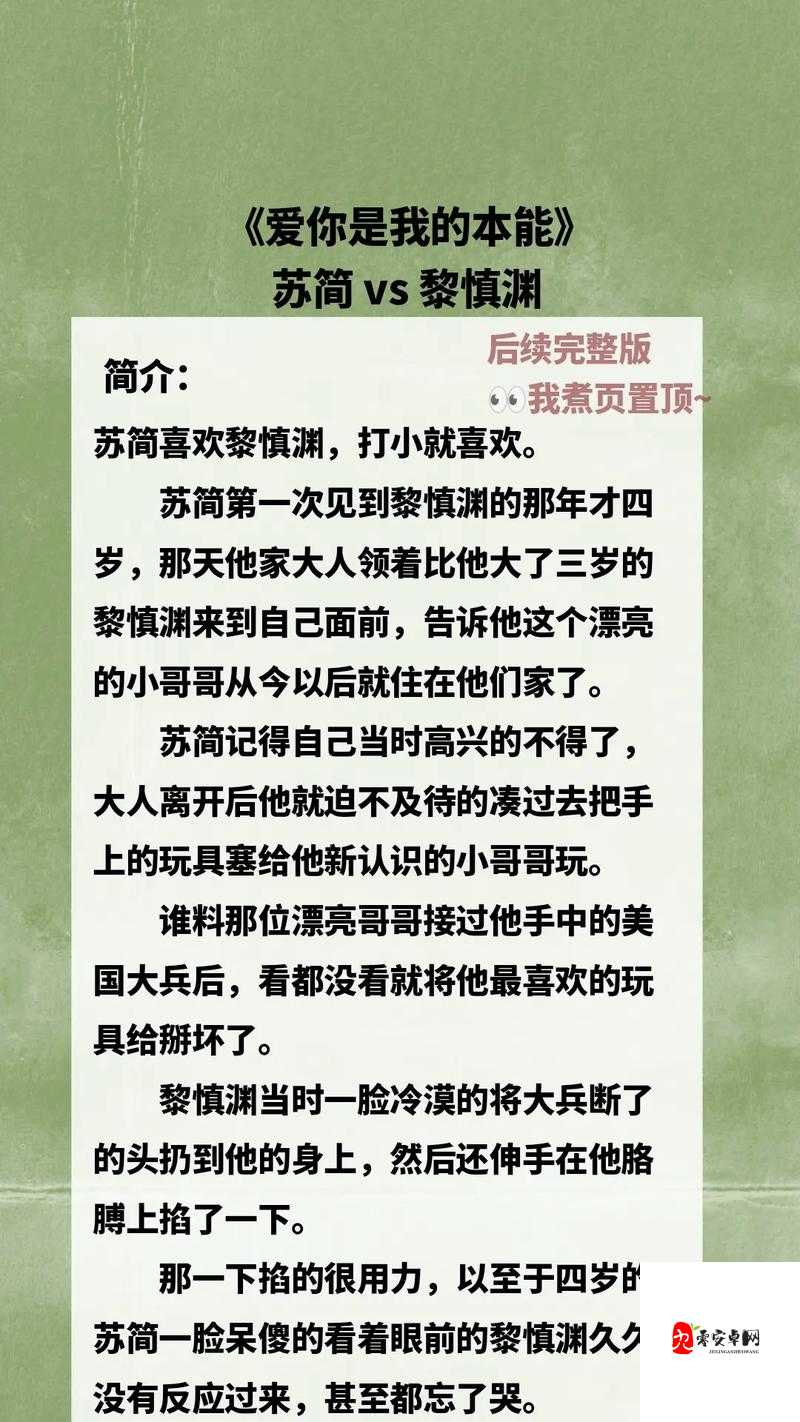 小说：后宝贝看清楚我是怎么爱你的