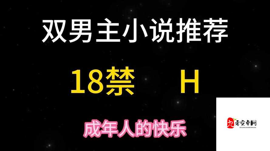 车速超高废文的双男主短篇小说：激情与禁忌的碰撞之旅