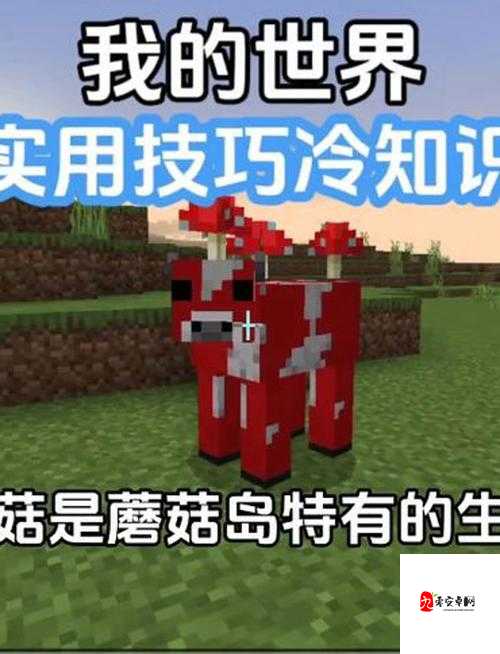 暴躁老外玩MINECRAFT科技技巧-令人惊叹的独特玩法大揭秘