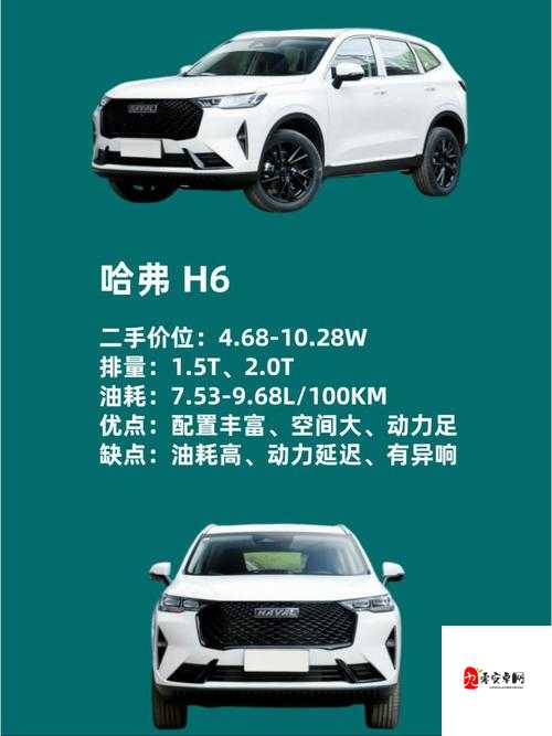 国产又大又便宜的 SUV：高性价比之选，满足你的多样需求