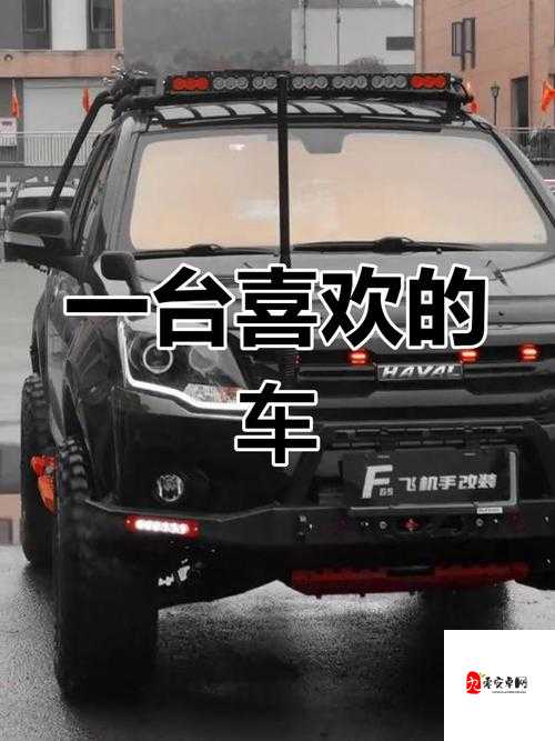 适合夫妻的 SUV ：和爱人打造的专属浪漫出行座驾