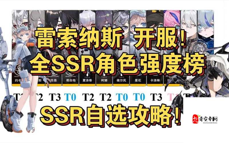 雷索纳斯自选SSR怎么选？雷索纳斯自选SSR推荐在资源管理中的重要性及策略