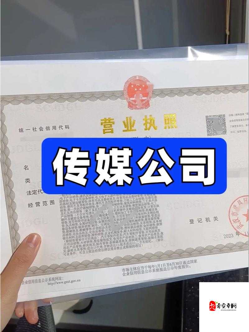 9i 传媒有限公司是做什么的：深度解析其业务范围与发展方向