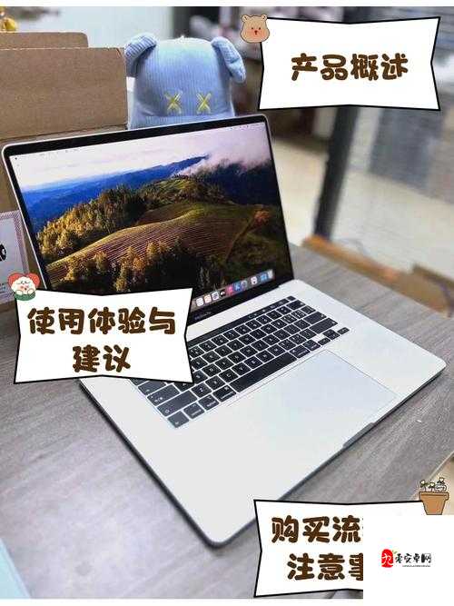 19 MacBook Pro 日本：性能卓越备受青睐