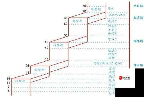 聚焦 xxxBBBB：探索其背后的故事与价值