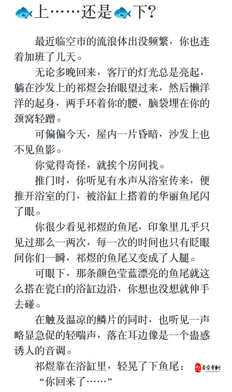 恋与深空流浪体打法全攻略，揭秘高效击败流浪体的秘诀