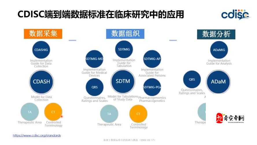 探寻成色好的 y31 用户数据造假：揭开真相的挑战