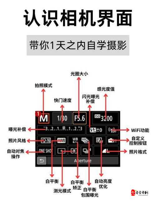 摄影艺术入门指南：全面详细的基础知识与实用技巧介绍