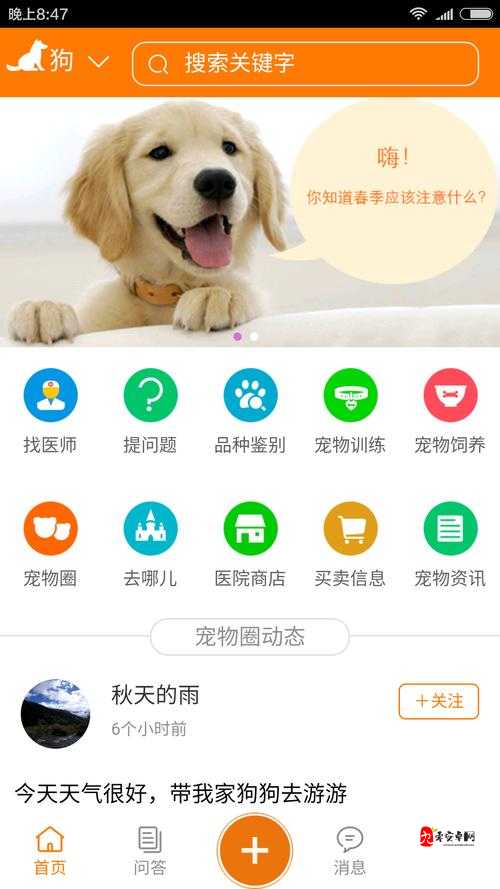 中国 zoom 人狗 app：独特视角探索人与宠物的奇妙互动