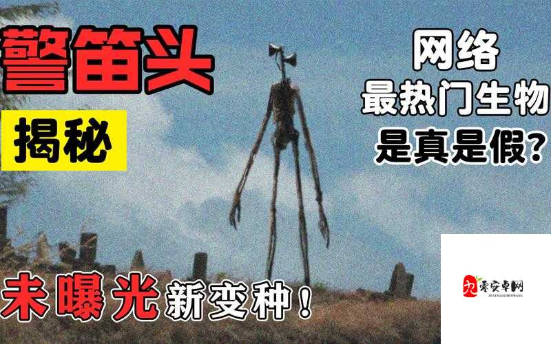 欧美野外猛男的大粗鳮台湾同胞：探寻野外神秘生物的故事