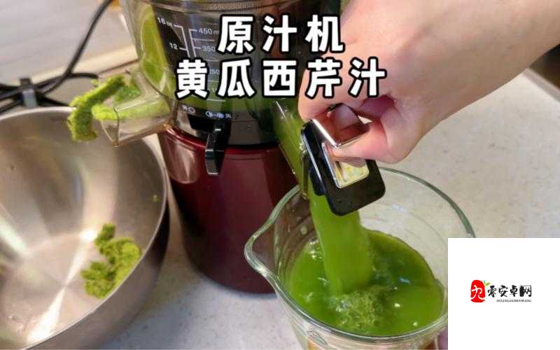 芹菜黄瓜牛奶能一起榨汁吗？揭秘这种搭配的可行性与营养价值或者：想知道芹菜黄瓜牛奶可以一起榨汁吗？快来寻找答案和惊喜又或者：疑惑芹菜黄瓜牛奶可以一起榨汁吗？这里揭晓真相