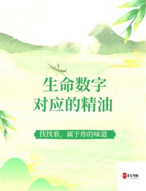 久久久999背后的神秘力量：探索这一数字组合在不同文化中的象征意义与广泛应用