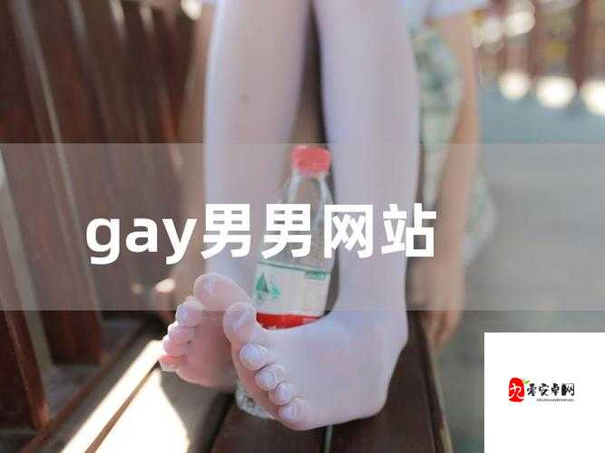 探索男男GayGay✅免费网站：最新资源、社区互动与安全指南全解析