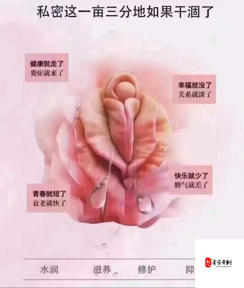 女人下面到底能夹多紧？揭秘女性身体的神秘力量与健康关系