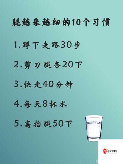 一条腿的重量是多少？这个问题困扰了我很久，谁能告诉我答案？