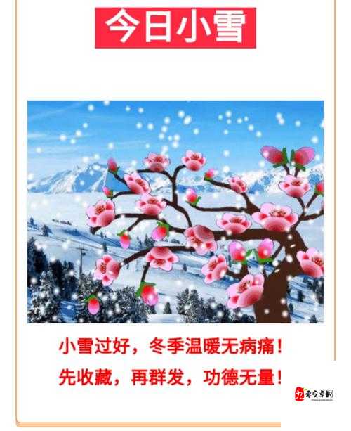 小雪让我再进去一点是什么意思？深度解析其背后的含义与情境