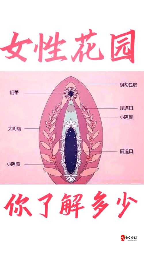 第一次开女处是什么感觉？真实经历分享与心理变化解析