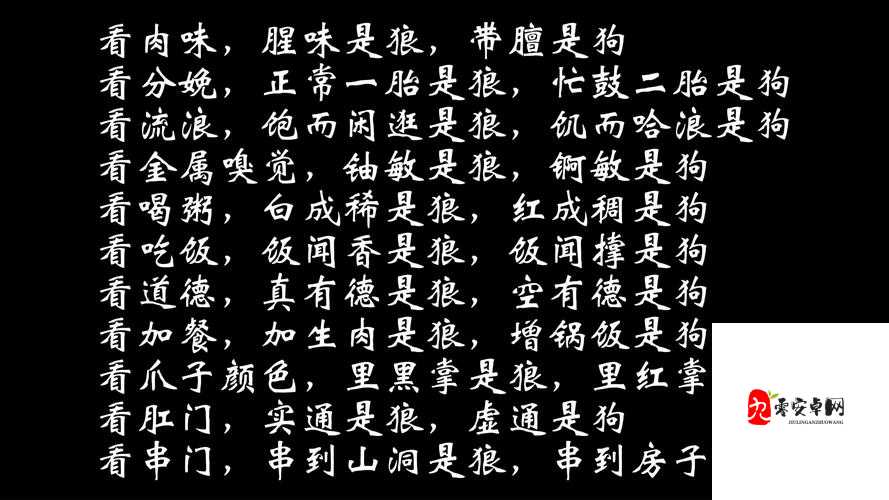 被戏称为狼还是哈士奇让人傻傻分不清的究竟是哪只神秘战队？全面攻略来袭！